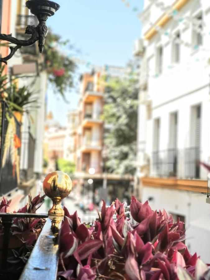 Casa Alfalfa 2 Dormitorios Terraza Y Solarium Privado Seville Ngoại thất bức ảnh