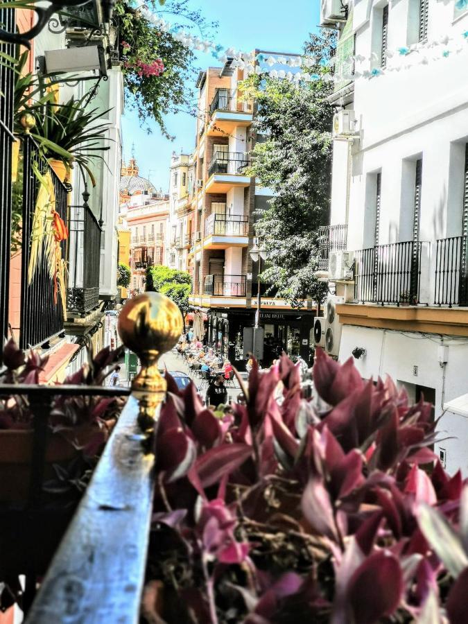 Casa Alfalfa 2 Dormitorios Terraza Y Solarium Privado Seville Ngoại thất bức ảnh